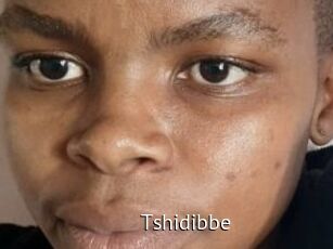 Tshidibbe