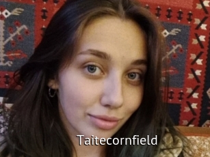 Taitecornfield