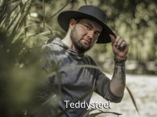 Teddysteel