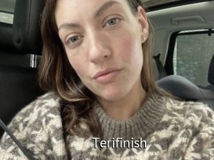 Terifinish