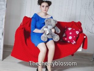 Thecherryblossom