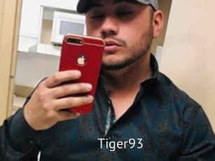 Tiger93