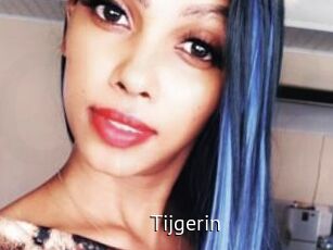 Tijgerin