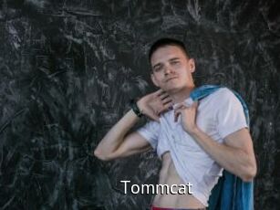 Tommcat