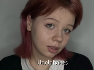 Udelahakes
