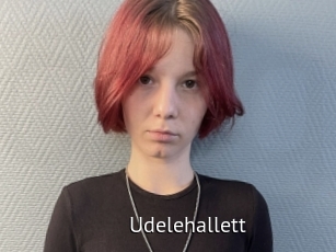 Udelehallett
