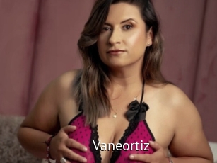 Vaneortiz