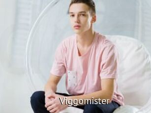 Viggomister