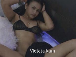 Violeta_kam