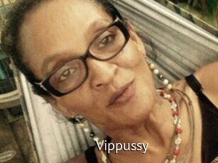 Vippussy