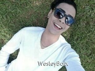 Wesley_Boix