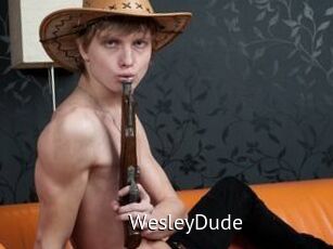 WesleyDude