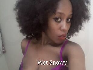 Wet_Snowy