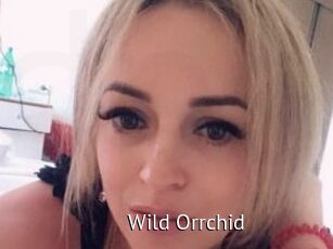 Wild_Orrchid