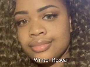 Winter_Rosea