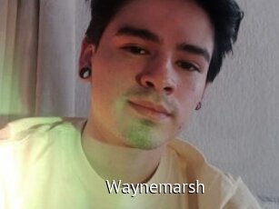Waynemarsh
