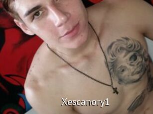 Xescanory1