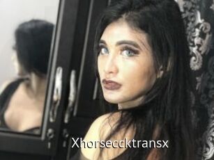Xhorseccktransx