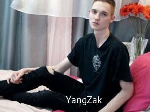 YangZak