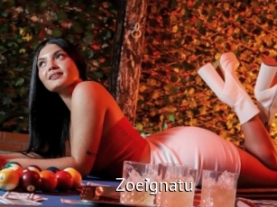 Zoeignatu