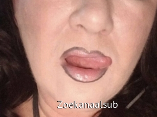 Zoekanaalsub